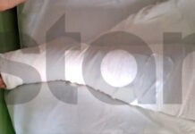 aigio 22022026 1200x630.jpg