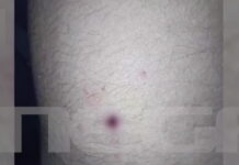 aigio karampina 1200x630.jpg