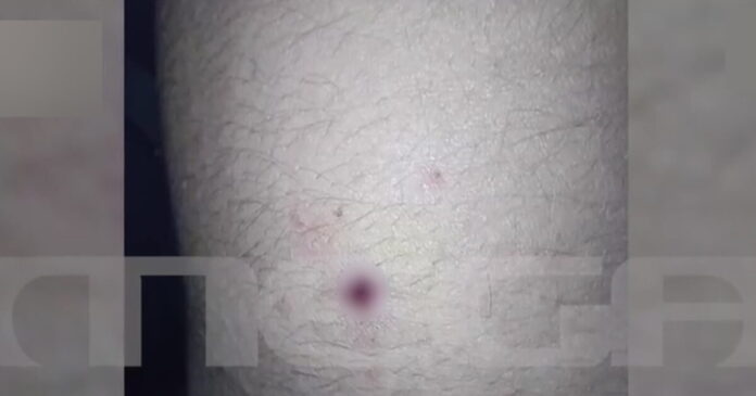 aigio karampina 1200x630.jpg