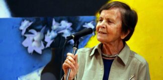 alveler 1 1200x630.jpg