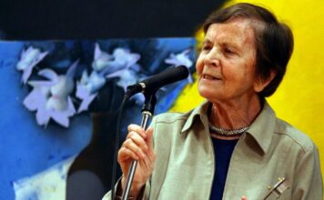 alveler 1 1200x630.jpg