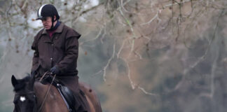 andrew 1 1200x630.jpg