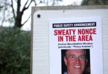 andrew 2 1200x630.jpg