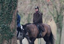 Ακόμη ένα πλήγμα για τον έκπτωτο πρίγκιπα Άντριου: Του απαγόρευσαν να κάνει ιππασία μετά τη σύλληψή του για την υπόθεση Επστάιν andrew mountbatten windsor 1200x630.jpg