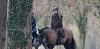 andrew mountbatten windsor 1200x630.jpg