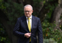 anthony albanese reuters 1200x630.jpg