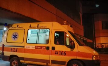 asthenoforo 4 1200x630.jpg