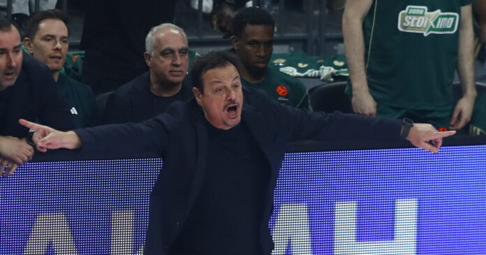 ataman 1 1200x630.jpg ataman 1 1200x630.jpg