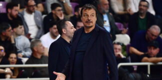 ataman 10 1200x630.jpg