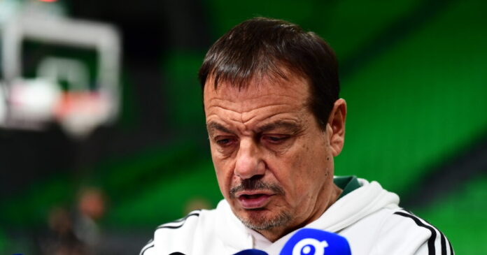 ataman 11 1200x630.jpg ataman 11 1200x630.jpg