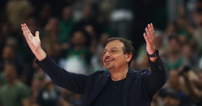 ataman 4 1200x630.jpg ataman 4 1200x630.jpg