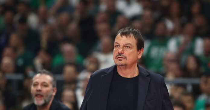 ataman 6 1200x630.jpg