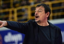 ataman 7 1200x630.jpg