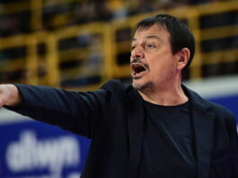 ataman 7 1200x630.jpg