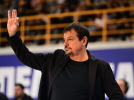 ataman 8 1200x630.jpg