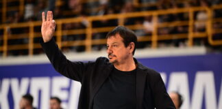 ataman 8 1200x630.jpg