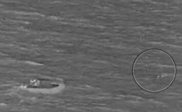 australia diasosi 1 1200x630.jpg