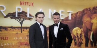 brooklyn beckham david beckham 1200x630.jpg