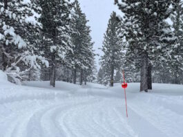 california 18022026 1200x630.jpg