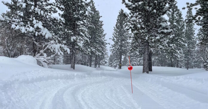 california 18022026 1200x630.jpg