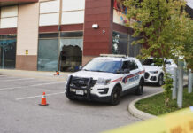 camada associated 1200x630.jpg