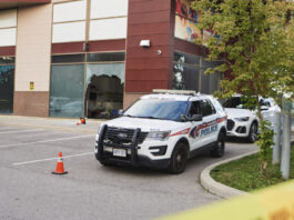 camada associated 1200x630.jpg