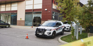 camada associated 1200x630.jpg