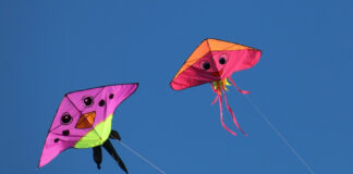 cc432d7180ab936b07da8446eb566dd7 L.jpg