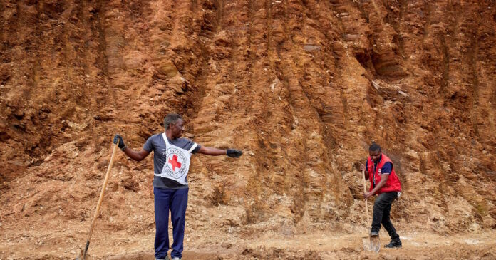 congo 27022026 1200x630.jpg congo 27022026 1200x630.jpg