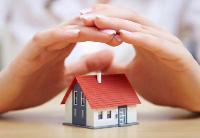 daneia 3.jpg daneia 3.jpg