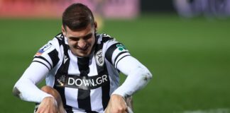 despodov 1200x630.jpg