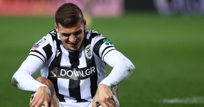 despodov 1200x630.jpg