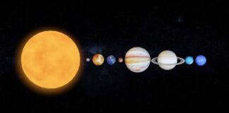 diastima planites istock 1200x630.jpg