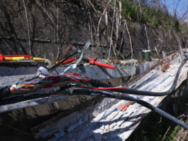 doliofthora kalwdia ose eurok 1200x630.jpg