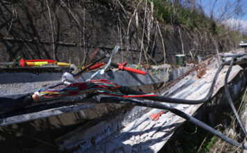 doliofthora kalwdia ose eurok 1200x630.jpg