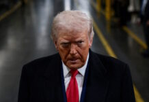 donald trumpp 1200x630.jpg