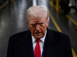 donald trumpp 1200x630.jpg