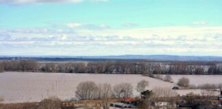 ebros plimmires 1200x630.jpg