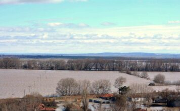 ebros plimmires 1200x630.jpg