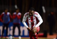 elkaabi 1200x630.jpg