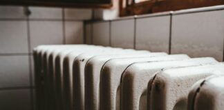 epidoma thermansis 1.jpg