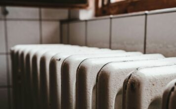 epidoma thermansis 1.jpg