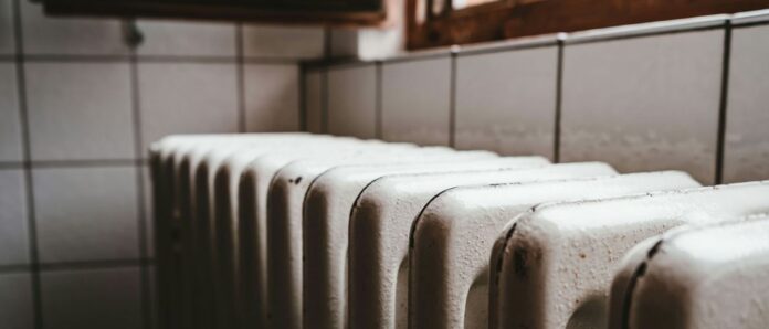 epidoma thermansis 1.jpg