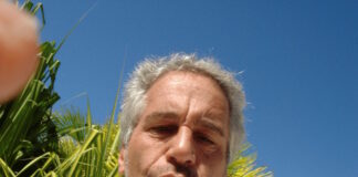 epstein reuters 4 1200x630.jpg