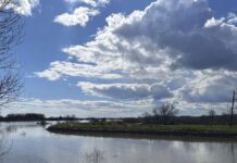 Έβρος: Ώρες αγωνίας για τους κατοίκους των παρόχθιων χωριών – Φόβο για μεγάλες ποσότητες νερού από την Βουλγαρία evros plimmires2 1200x630.jpg