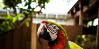 f21879ea7dbbcd603be2da311d0e2501 L.jpg