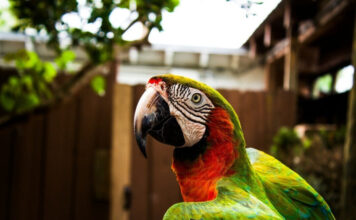 f21879ea7dbbcd603be2da311d0e2501 L.jpg