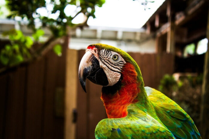 f21879ea7dbbcd603be2da311d0e2501 L.jpg