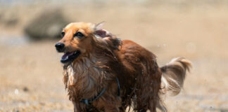 f2da65206efcdaf463c37a36f231e140 L.jpg