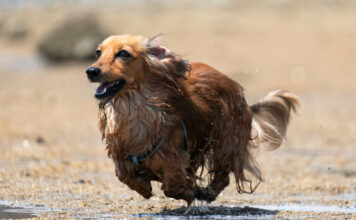 f2da65206efcdaf463c37a36f231e140 L.jpg